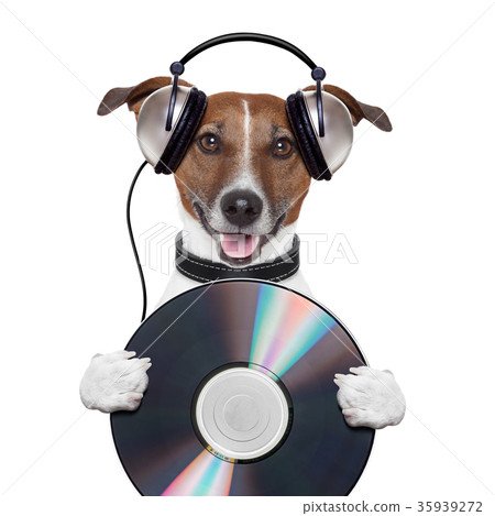 music headphone cd dog 35939272