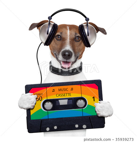 music cassette tape headphone dog 35939273