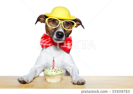 birthday dog cupcake birthday dog cupcake 35939783