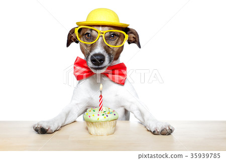 birthday dog cupcake birthday dog cupcake 35939785