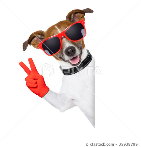 peace fingers dog peace fingers dog 35939799