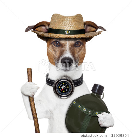 hike compass hat dog 35939804