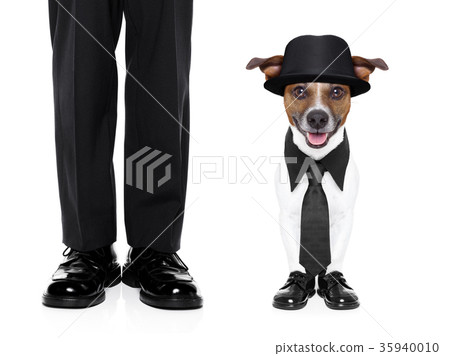 tuxedo dog and owner 35940010