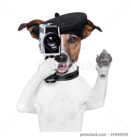 movie director dog 35940030