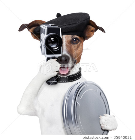 movie director dog 35940031