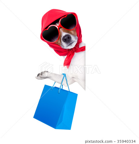 shopaholic shopping diva dog shopaholic shopping diva dog 35940334