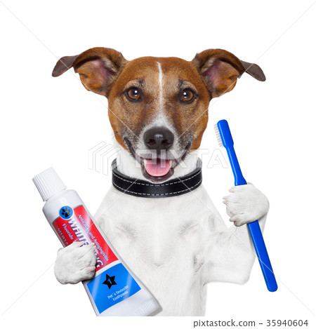 teeth cleaning gog 35940604