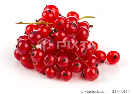 Red currant isolated Red currant isolated 35941454