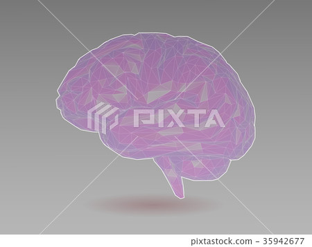 Low poly transparent brain illustration 35942677