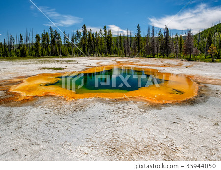 Hot thermal spring in Yellowstone 35944050