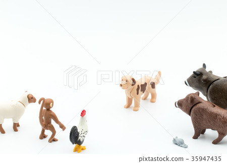 Young (dog) Young (dog) 35947435