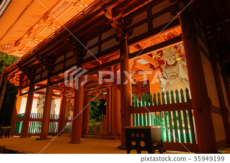 [Night view of Takanosan Danjojyo and Nakamon] Takanosan, Takano Town, Ito-gun, Wakayama Prefecture 35949199
