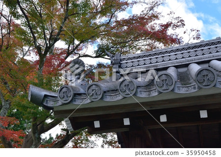 Roof decorative roof tiles Roof decorative roof tiles 35950458