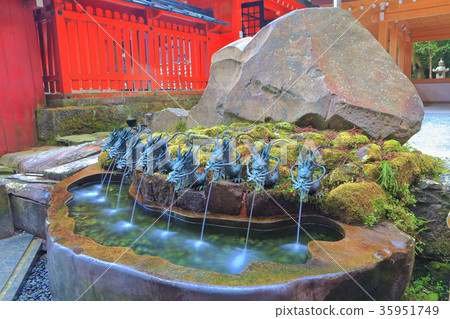 箱根神社的龍津水 35951749