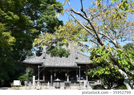 Noma Daibou Main Bldg.Circle Road Daimon Yuki Noma Daibou Main Bldg.Circle Road Daimon Yuki 35952799