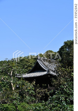 Noma Daibou Main Bldg.Circle Road Daimon Yuki 35952842