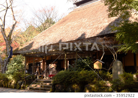 Sweet sake tea shop Sweet sake tea shop 35952922