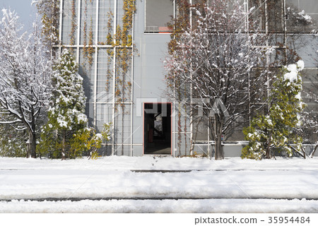 First snow morning 35954484