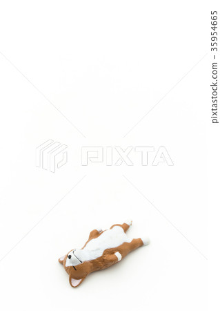 睡覺的狗：睡覺的狗 35954665