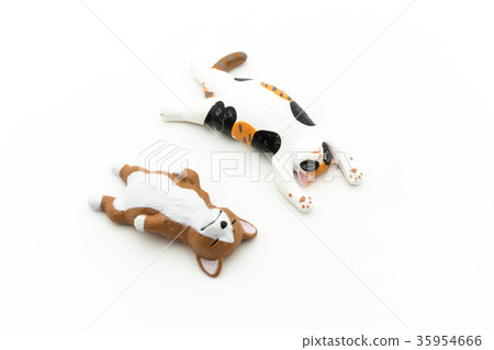 睡覺貓和狗:睡覺貓和狗 睡覺貓和狗:睡覺貓和狗 35954666