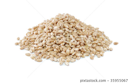 pearls barley grain seed on background 35955067