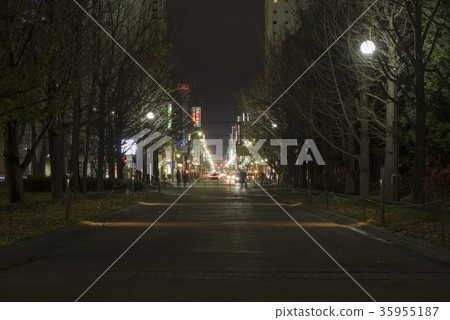 Night park 35955187