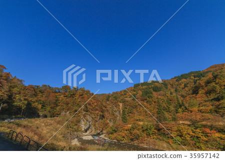 Kiyotsu河的風景在秋天 35957142