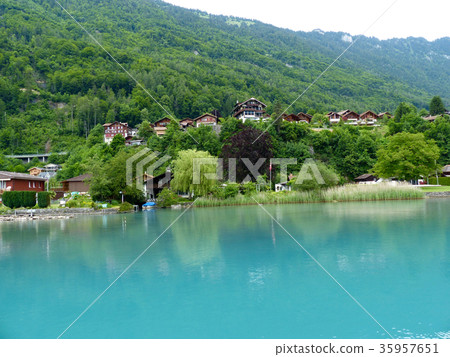 Lake Brienz in the emerald green lake surface Lake Brienz in the emerald green lake surface 35957651
