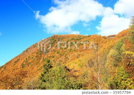 Yudate God Panorama Park 35957794