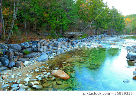 Akazawa自然休閒森林 35959335