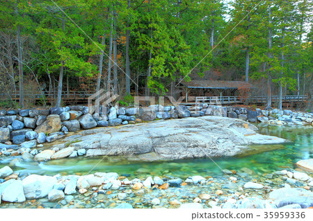 Akazawa自然休閒森林 Akazawa自然休閒森林 35959336