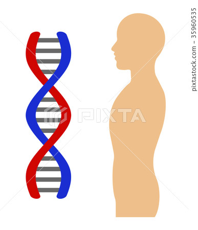 人類的DNA 人類的DNA 35960535