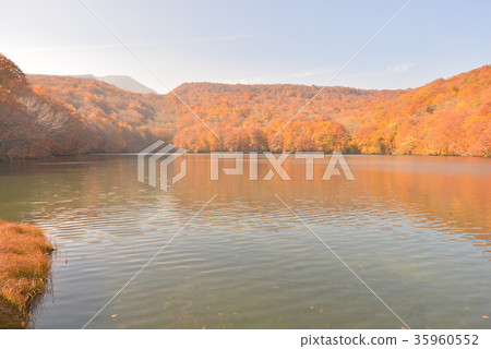 Iinouma Iinouma 35960552