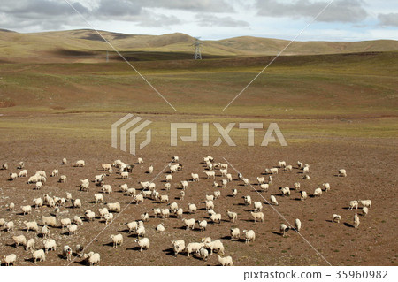 從西藏鐵路看到的青藏高原。 2016年9月17日 35960982