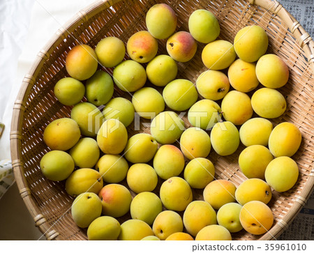 Dried plum fruits 35961010