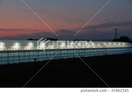 房屋栽培 房屋栽培 35962585