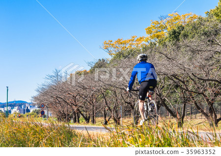 Autumn Tama River Cycling Road 35963352
