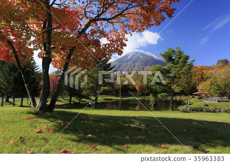 Autumn leaves and snow mountain of thought park 35963383