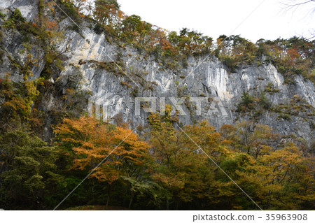 Autumn leaves and rock wall rocks of Iwaohanakei (Iwate prefecture) Autumn leaves and rock wall rocks of Iwaohanakei (Iwate prefecture) 35963908