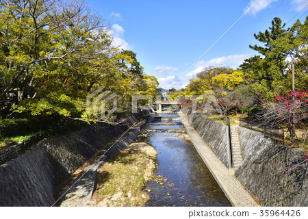 夙川 夙川 35964426