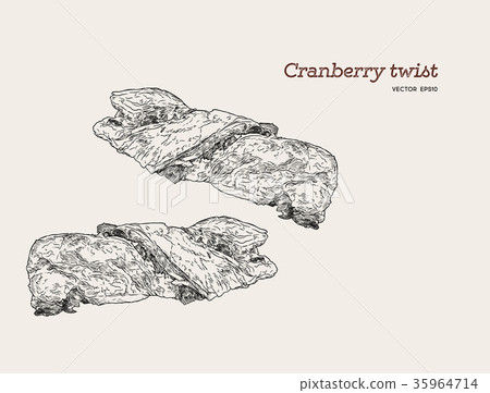 cranberry twist , hand draw sketch vector. 35964714
