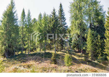 Hunting tower in Alpine woods. Carinthia, Austria. Hunting tower in Alpine woods. Carinthia, Austria. 35966606