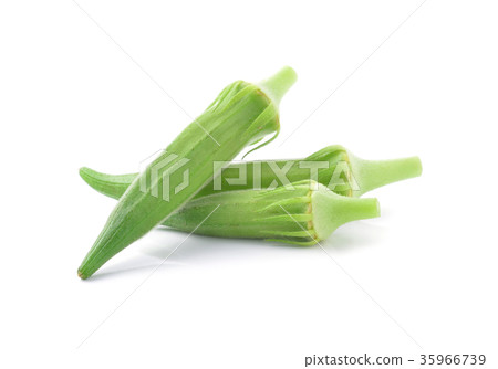 Okra 35966739