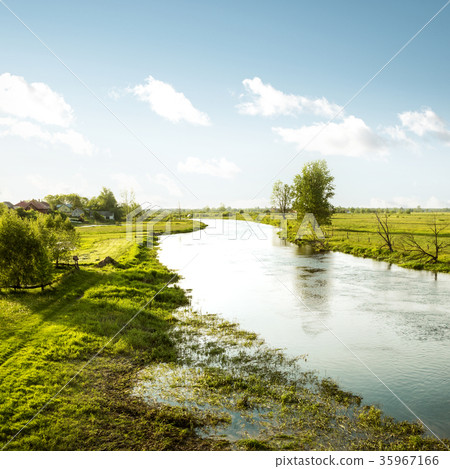 Polish countryside - Biebrza National Park Polish countryside - Biebrza National Park 35967166
