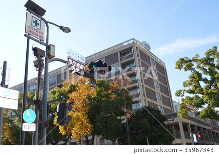 在Hama Star前面的橫濱市政廳 在Hama Star前面的橫濱市政廳 35967343