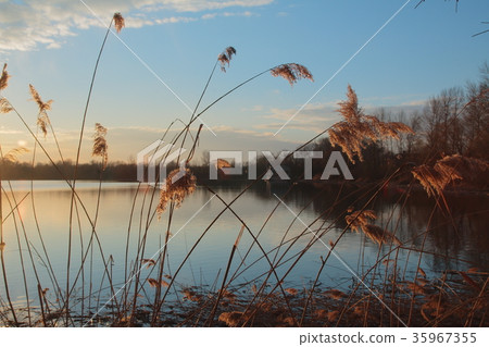 Sunset Sunset 35967355