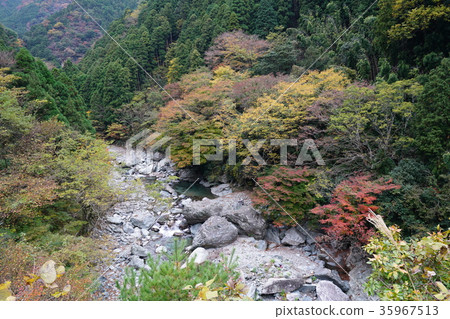 Oriental Machu Picchu / Autumn leaves 35967513