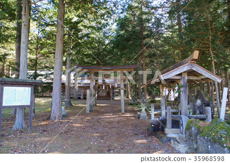 Shinshu Kiso Shrine Kumano Shrine江戶時代豎立的主殿被指定為立川風格的建築城鎮文化財產 Shinshu Kiso Shrine Kumano Shrine江戶時代豎立的主殿被指定為立川風格的建築城鎮文化財產 35968598