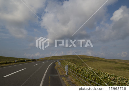 Japan's northernmost hill 35968716