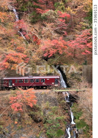 穿過秋天山谷的山谷鐵路 穿過秋天山谷的山谷鐵路 35969113